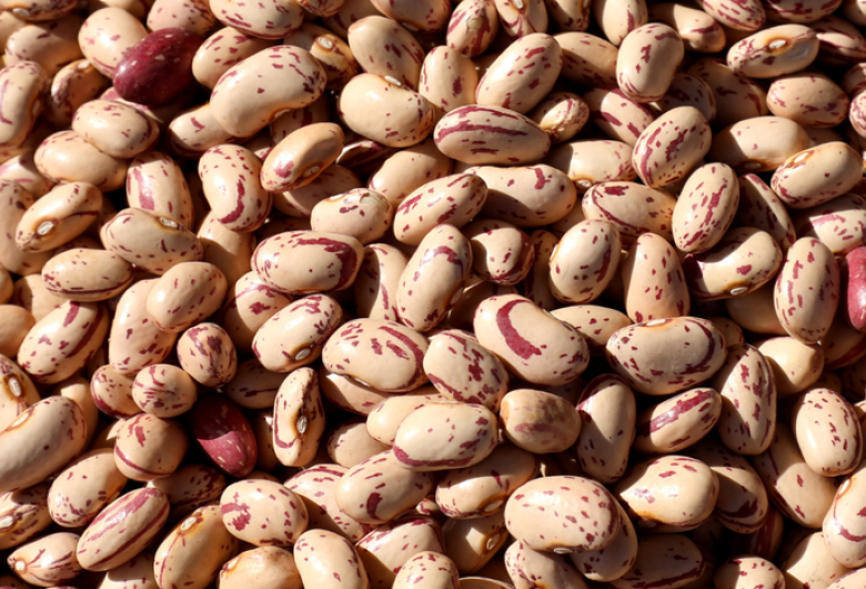 Brasil recebe autorização para exportar feijão para a Costa Rica