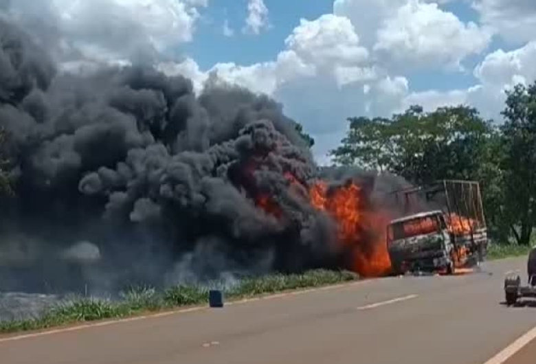 Caminhão é consumido por incêndio e atinge vegetação às margens da rodovia