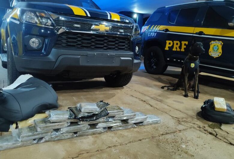 Quatro passageiros são presos transportando cocaína em ônibus de viagem