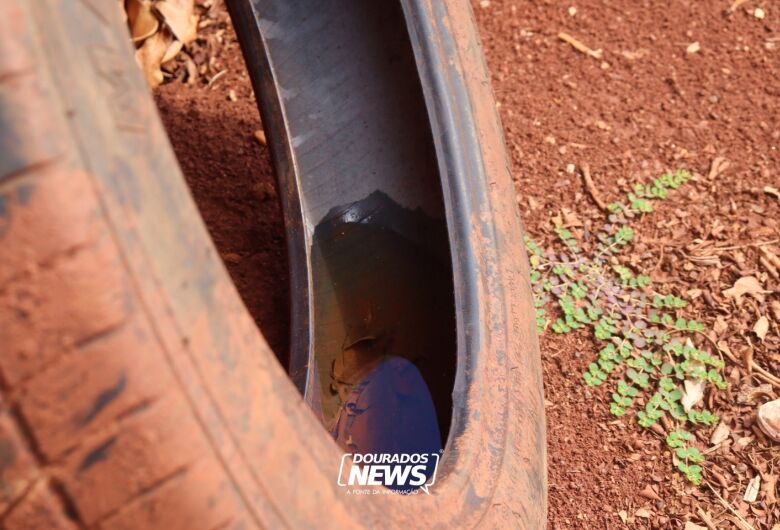 CCZ aplica mais de R$ 30 mil em multas pela 'Lei da Dengue' em Dourados