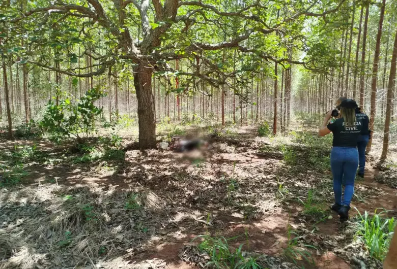 Corpo decapitado é encontrado em área rural de Três Lagoas durante buscas