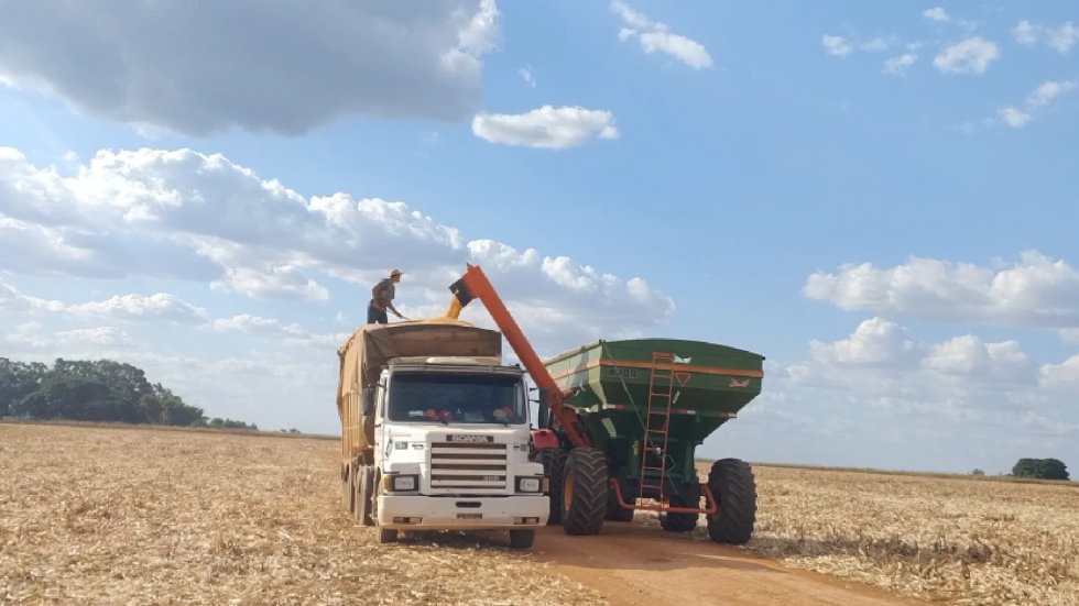 Principal commodity de MS, soja impulsiona queda dos alimentos no atacado após dez meses de alta