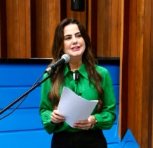 Mara Caseiro solicita limpeza nas margens das rodovias MS-295 e MS-180