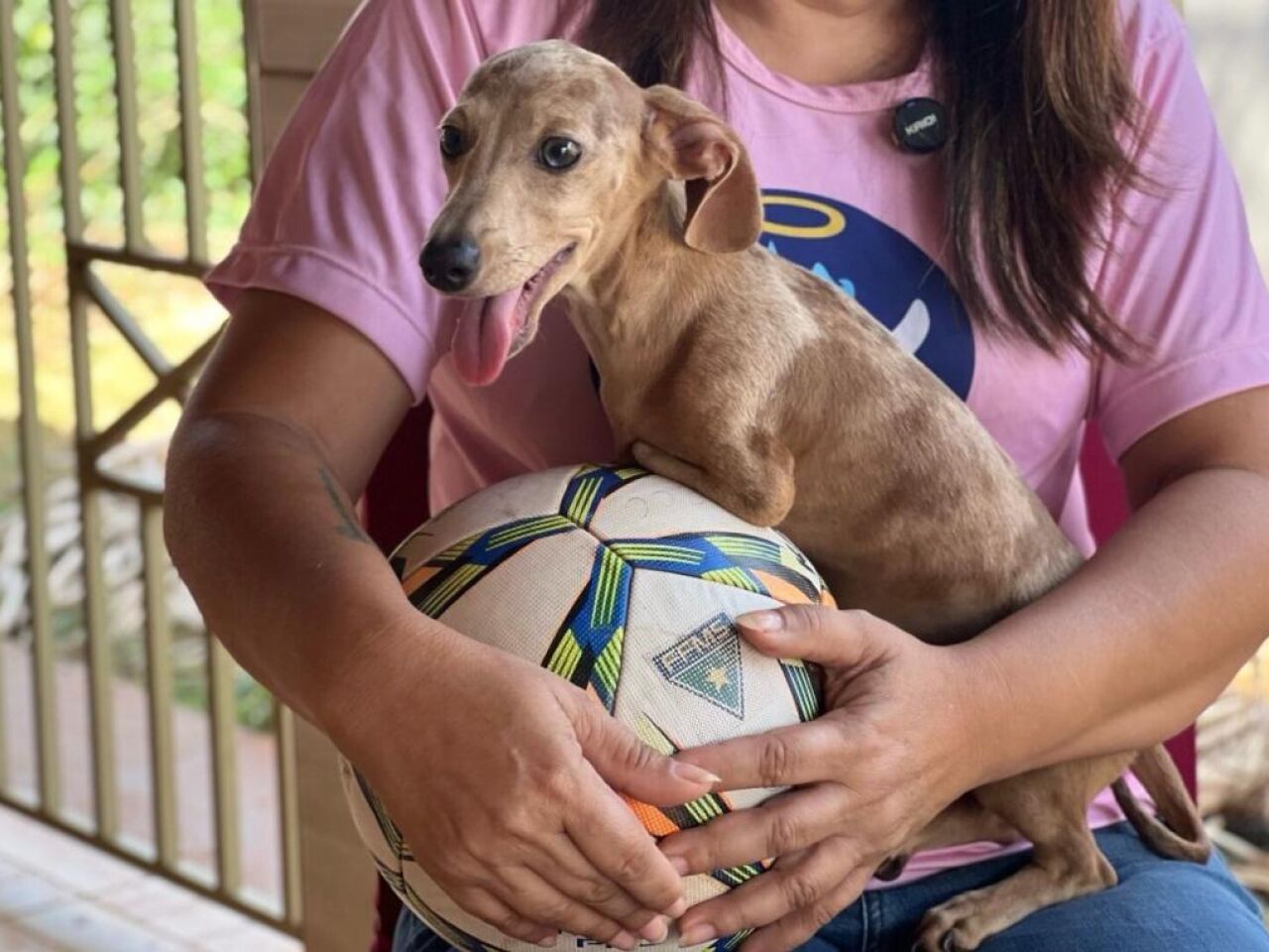 Adoção de pets: partida da Série B terá ação no Comercial