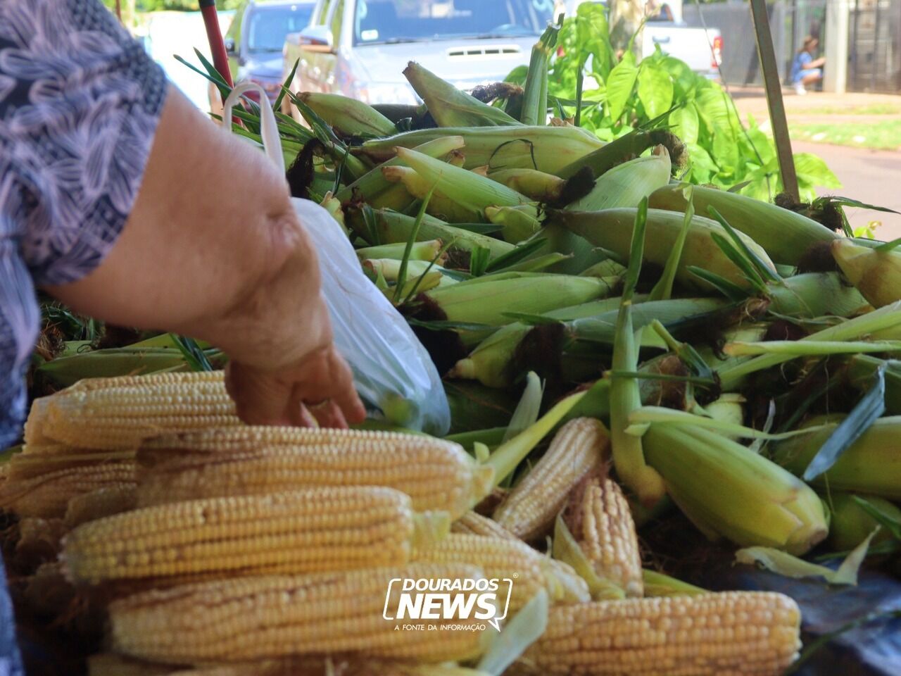 Crédito AgroAmigo fortalece agricultura familiar em MS agora