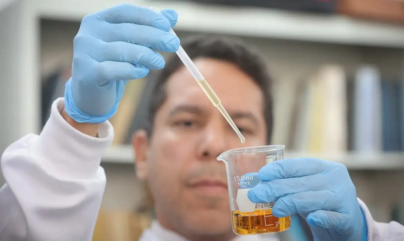 Detecção de metanol em bebidas: novo protocolo em SP hoje