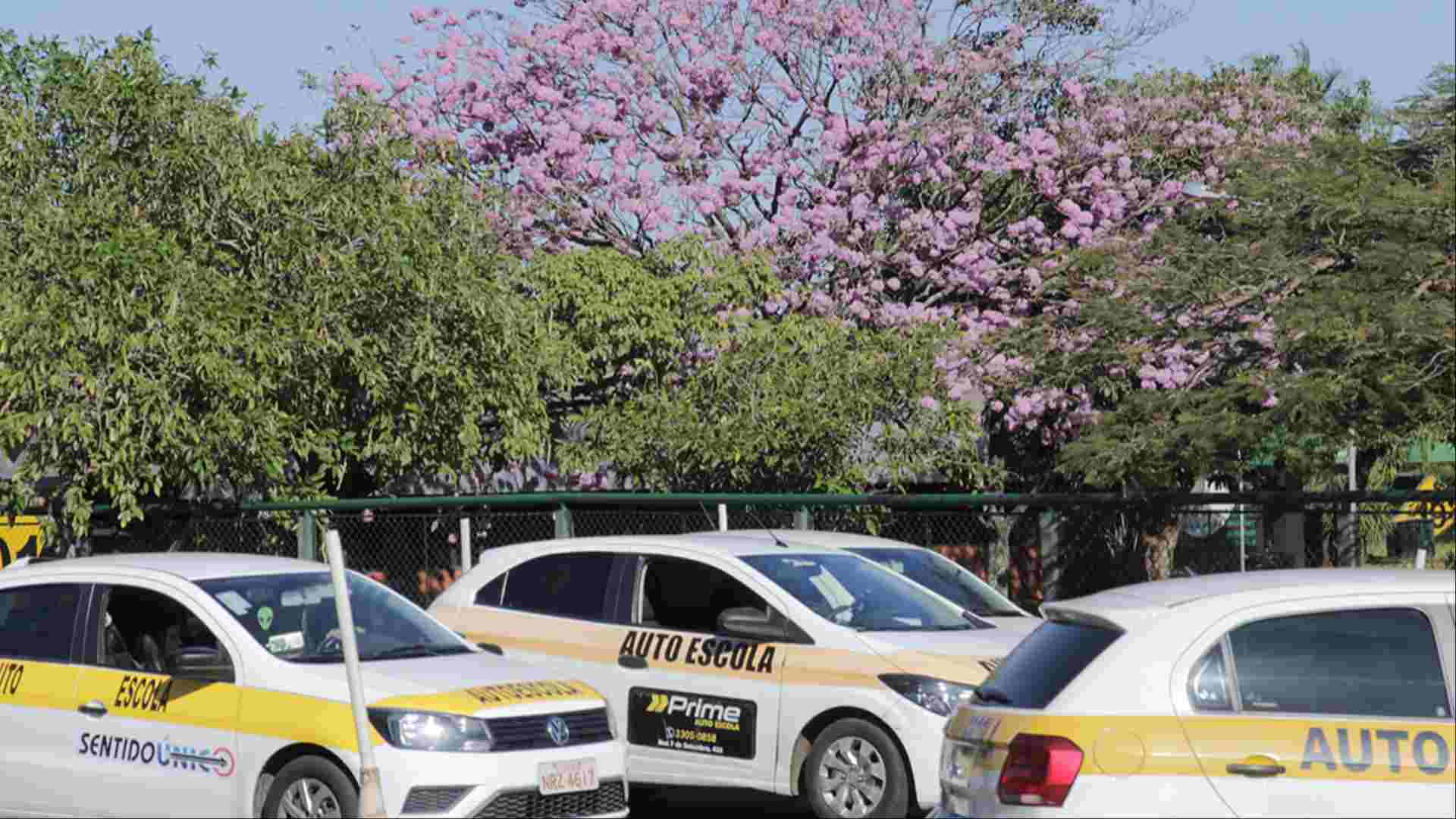 Fim da exigência de autoescolas pode cortar 3.000 empregos