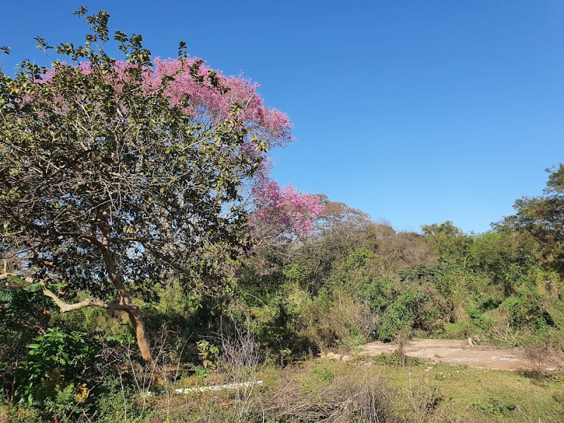 Pesquisa socioambiental Paragem: moradores avaliam o parque