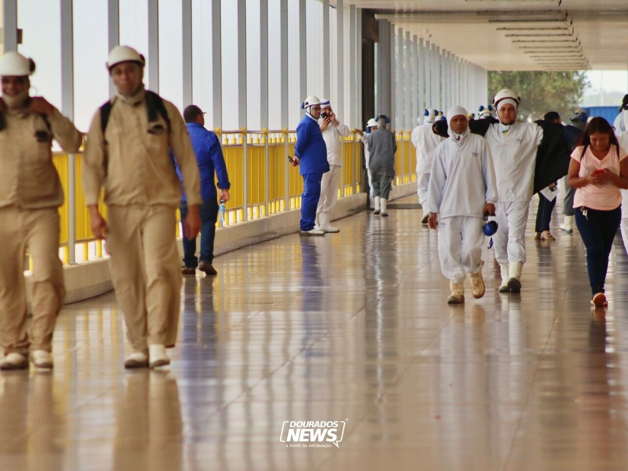 Vagas em Dourados: Frigorífico oferece 150 empregos CLT já