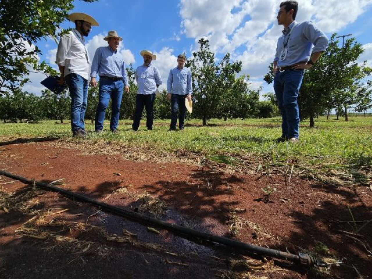 MS Irriga destaca potencial para irrigar 4 milhões ha no MS